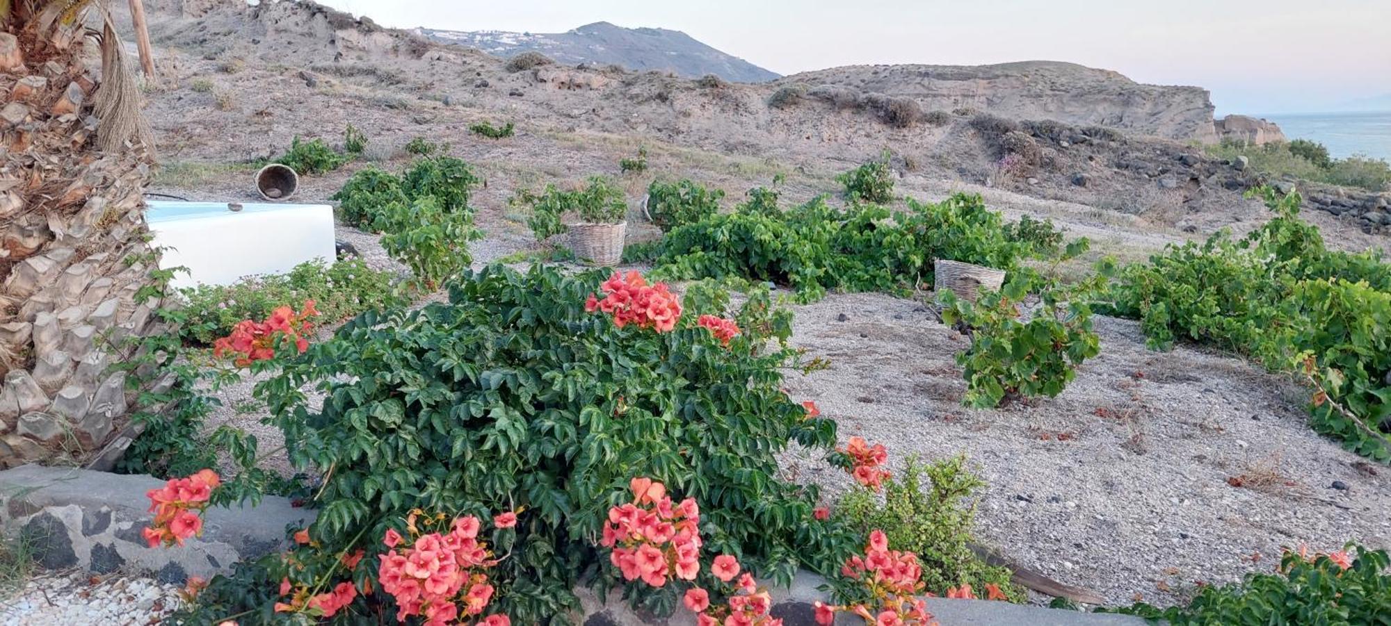 Peaceful Seafront Retreat In Santorini -Sonus Mare Beach Houses Βούρβουλος Εξωτερικό φωτογραφία
